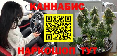крисы Заволжье
