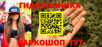 СК Дубна