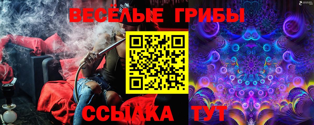 Псилоцибиновые грибы Magic Shrooms  Галлюциногенные грибы мицелий  продажа наркотиков  Вход с VPN  Лениногорск 