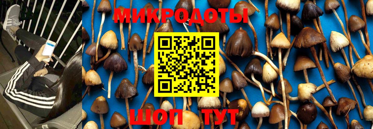 Галлюциногенные грибы GOLDEN TEACHER Лениногорск